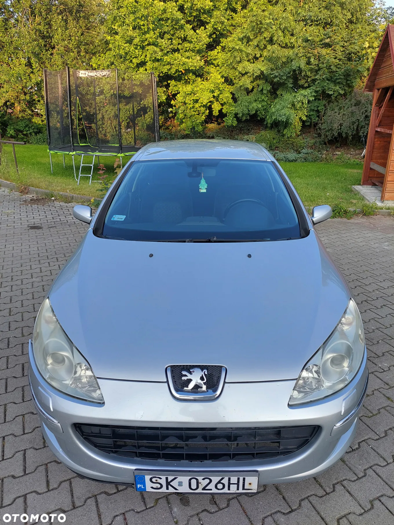 Peugeot 407 2.0 HDi Premium - 7