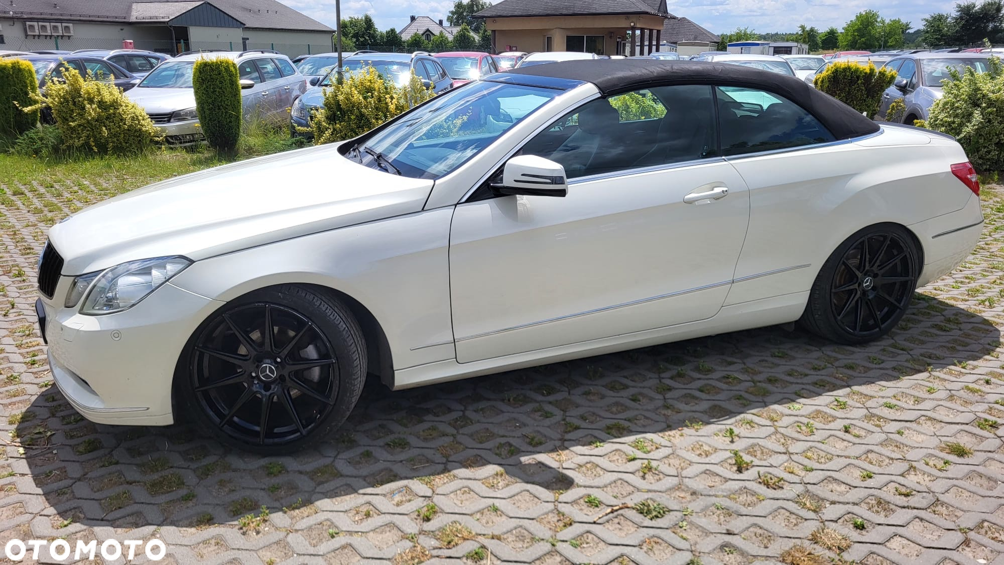Mercedes-Benz Klasa E 250 CGI Cabrio BlueEFFICIENCY Automatik Avantgarde - 25