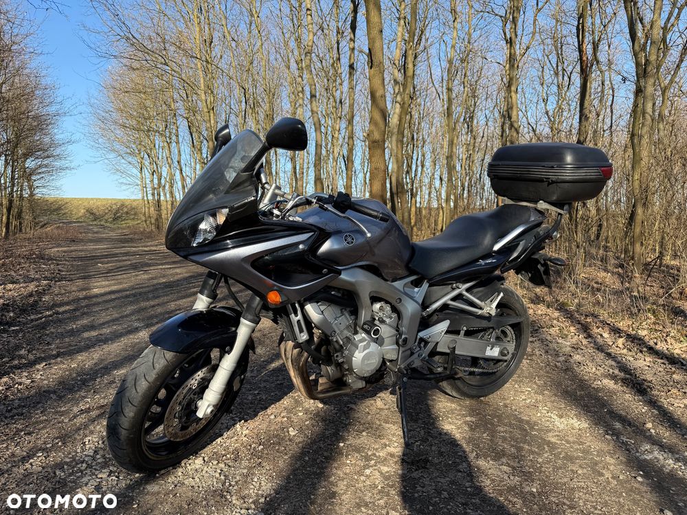 Yamaha FZ6 - 1