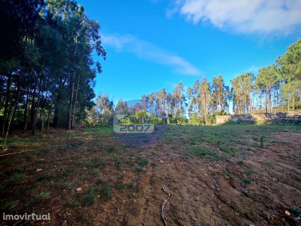 Terreno em Mozelos - Grande imagem: 5/12