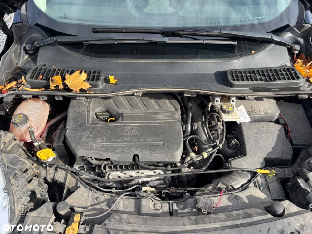 Ford Kuga 1.5 EcoBoost 2x4 Trend - 18
