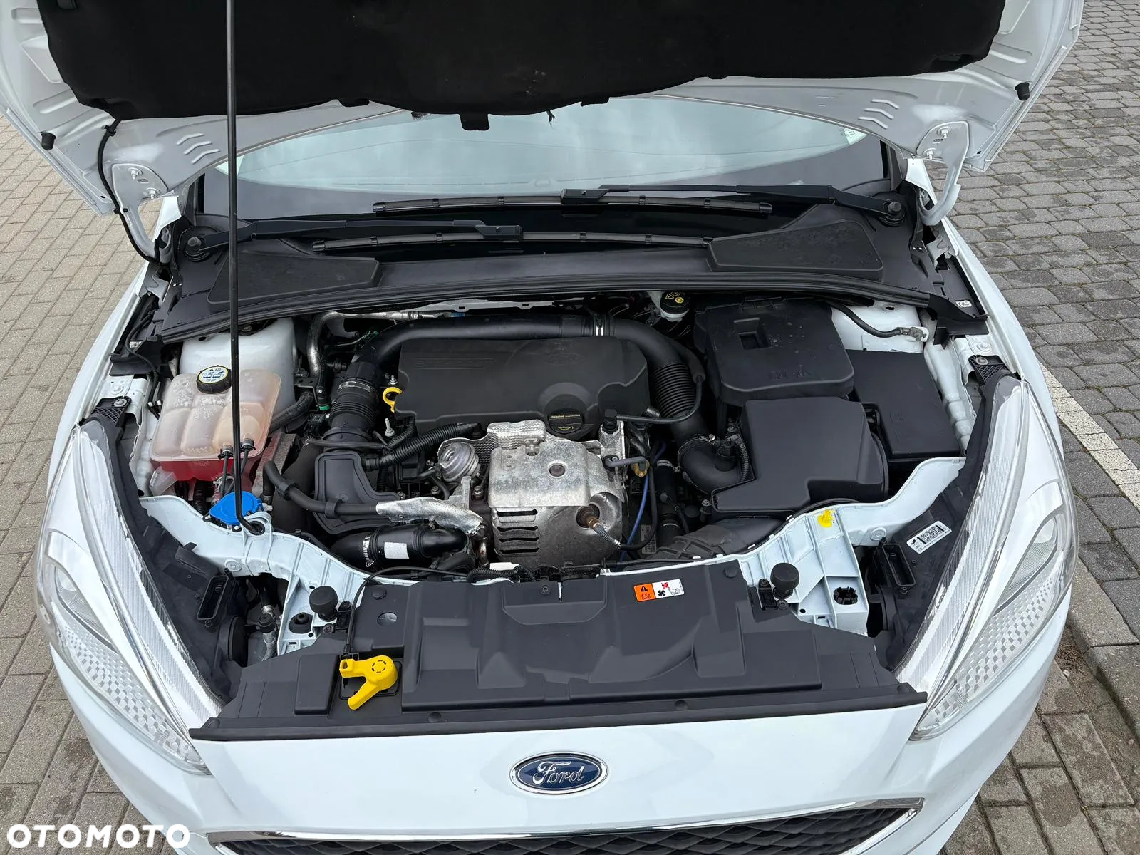 Ford Focus 1.0 EcoBoost 99g Edition Start - 15