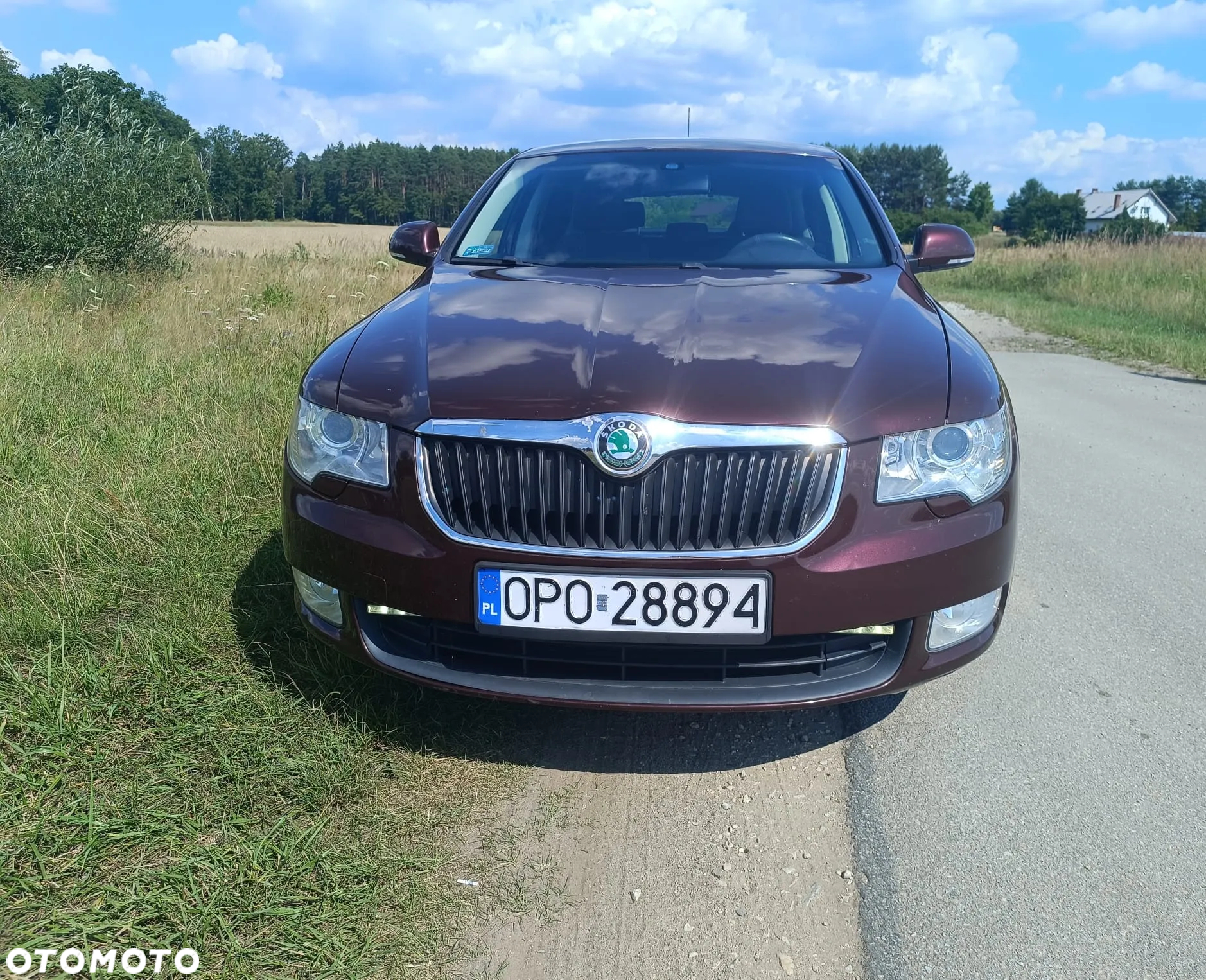 Skoda Superb 1.4 TSI Active - 6