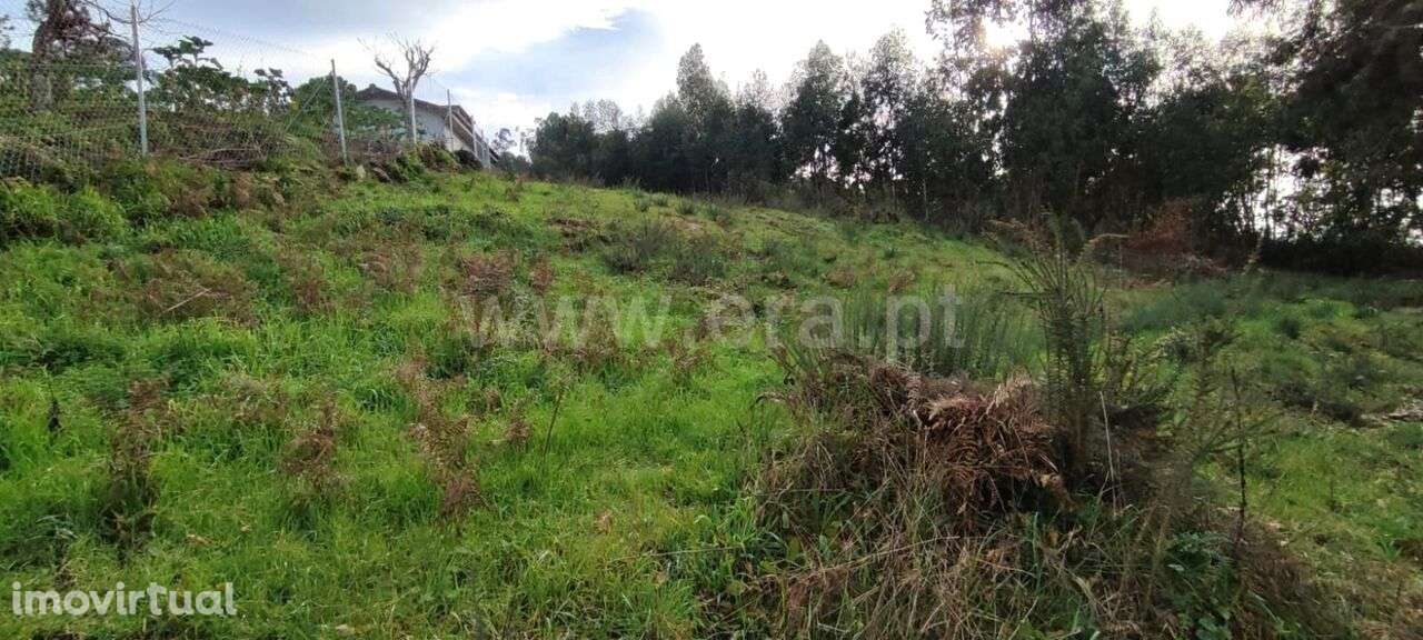 Terreno / Marco de Canaveses, Várzea, Aliviada e Folhada - Grande imagem: 4/12