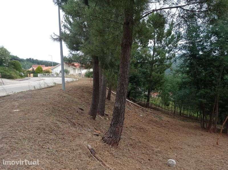 Terreno Urbano no Centro de Castanheira de Pera - Grande imagem: 5/7