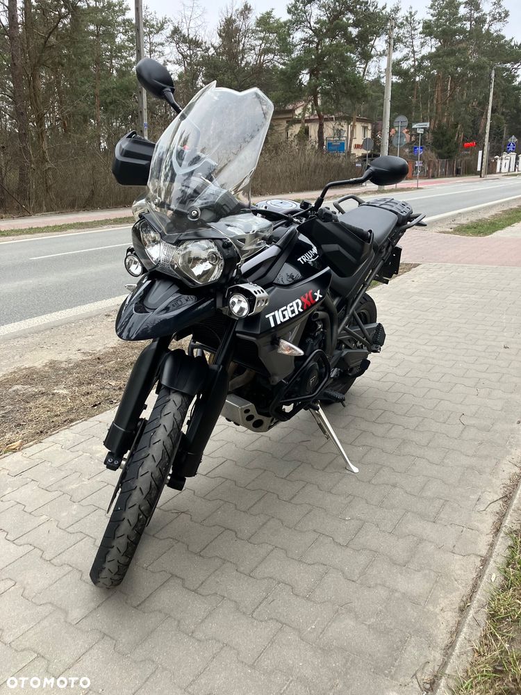 Triumph Tiger - 1