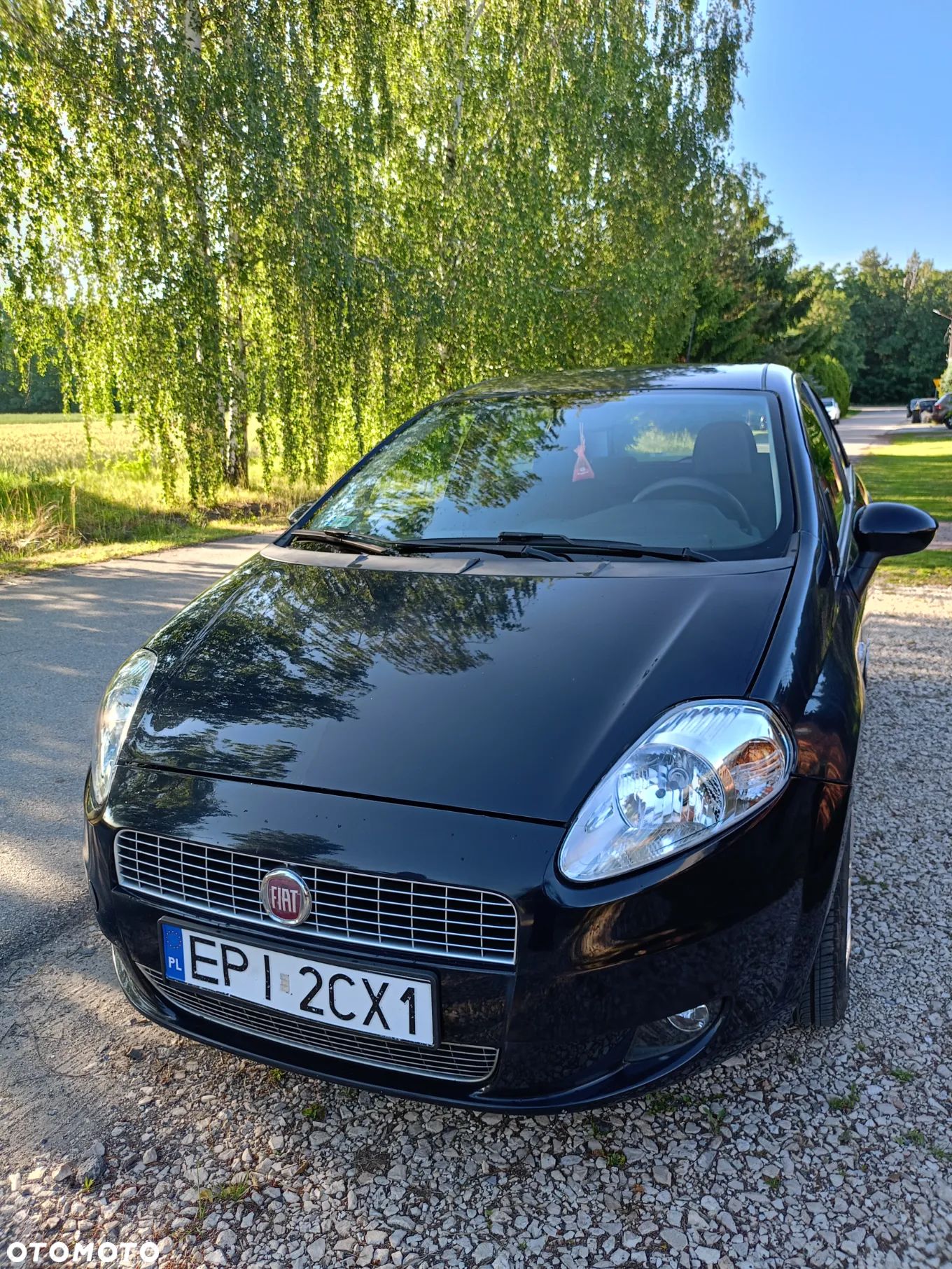 Fiat Punto 1.2 8V Classic - 1