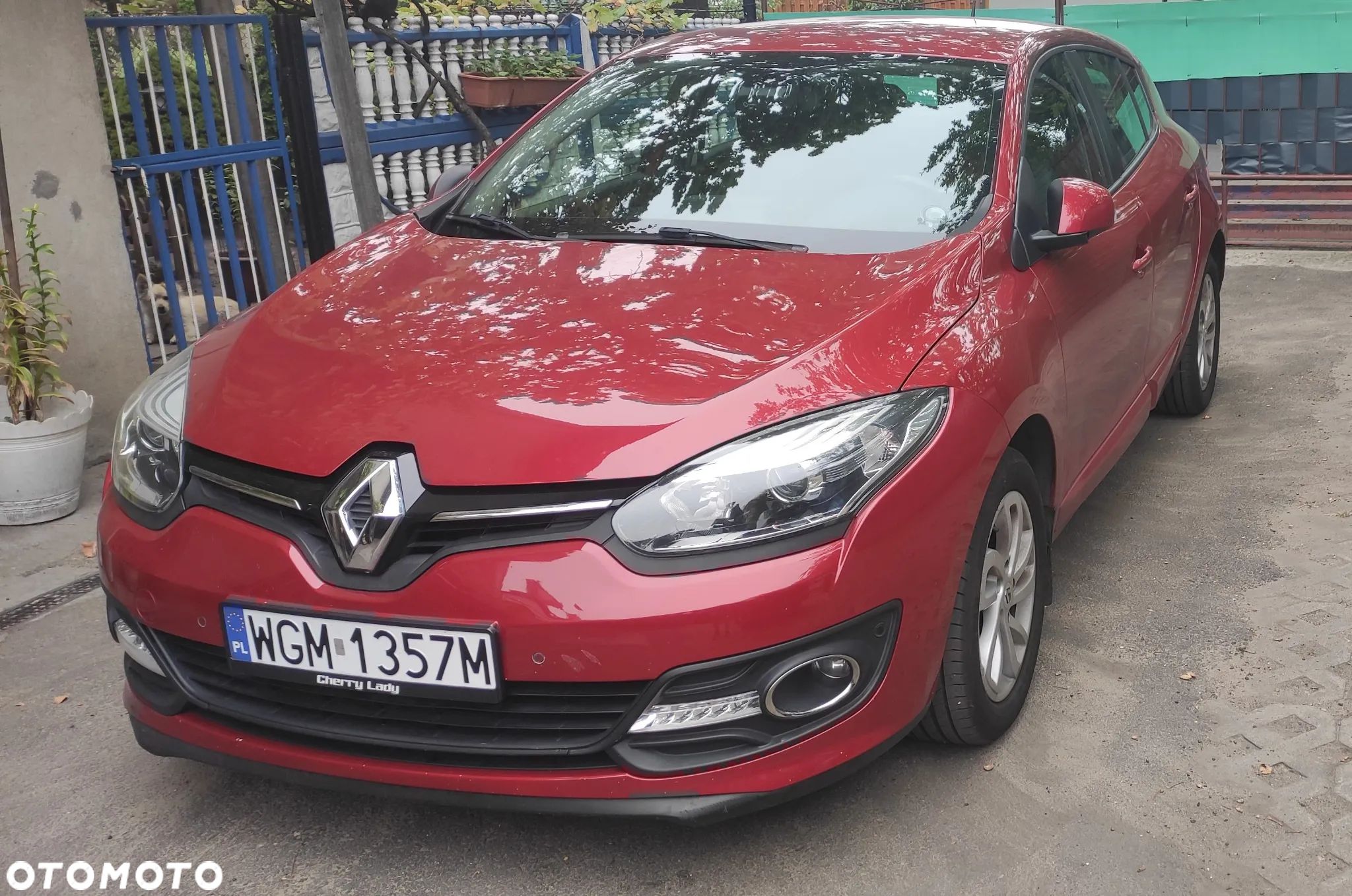 Renault Megane - 1