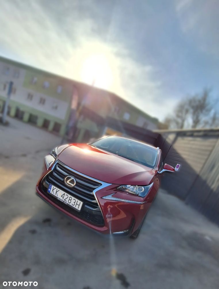 Lexus NX 200t Prestige AWD - 24