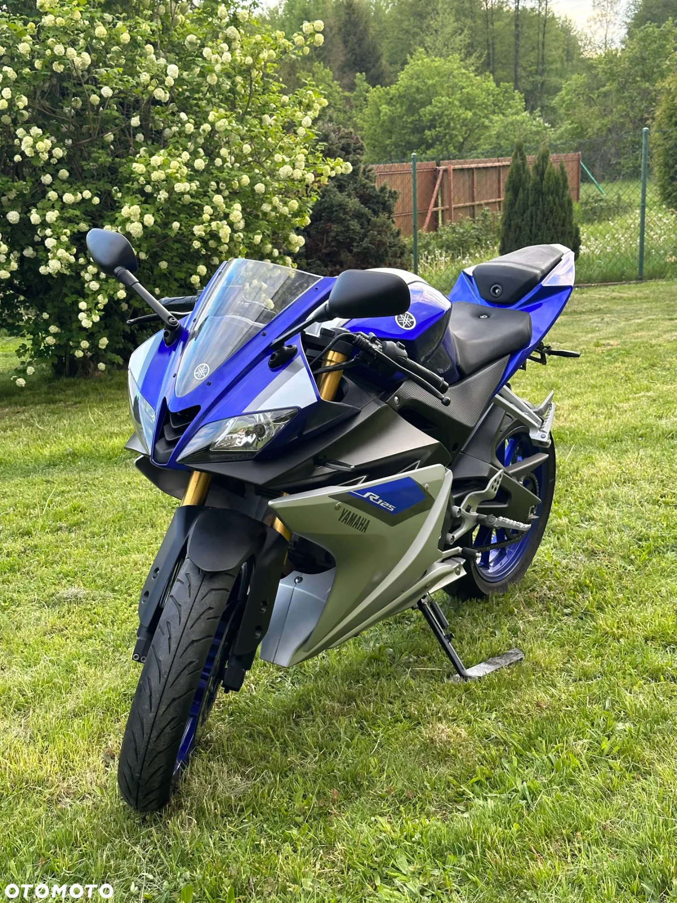 Yamaha YZF - 6