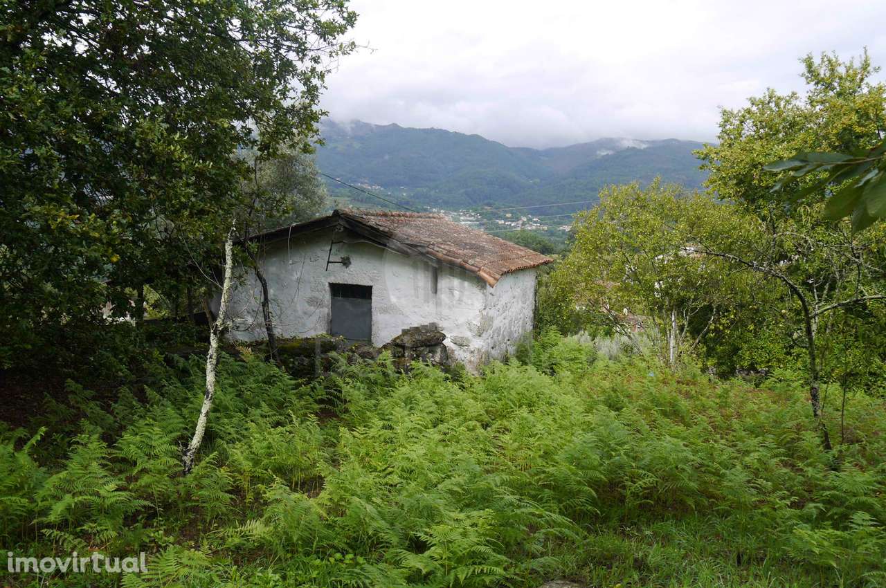 Terreno com duas casas para restauro com 2950m² - Grande imagem: 5/26
