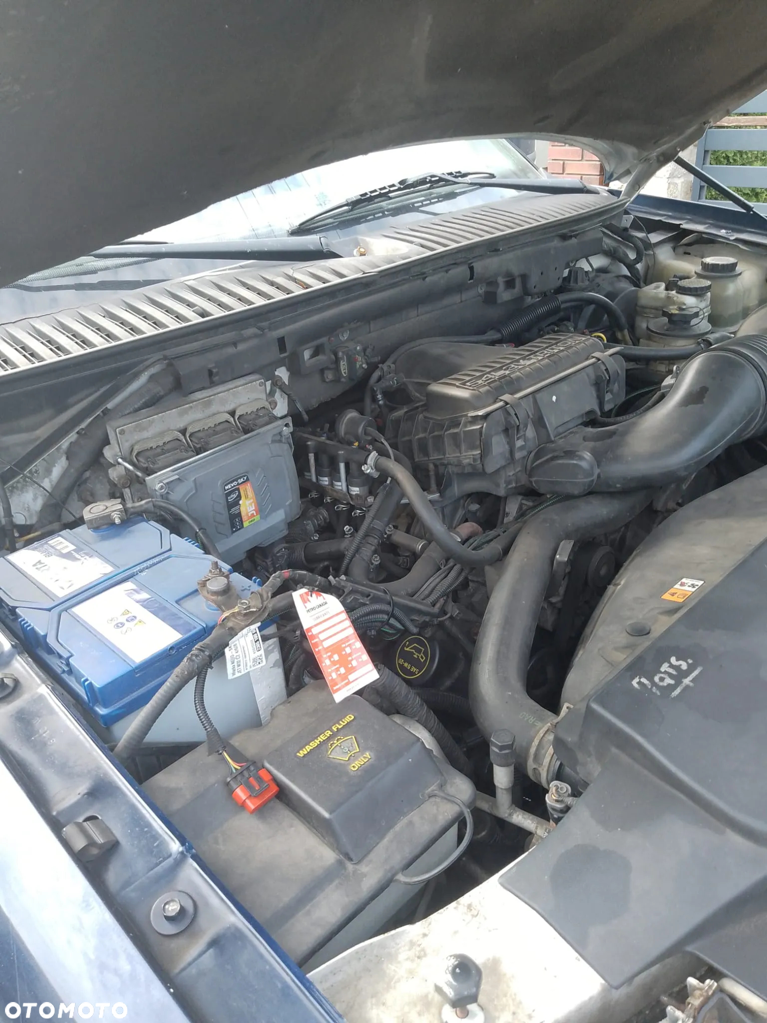 Ford Expedition 5.4 XLS 4WD - 7