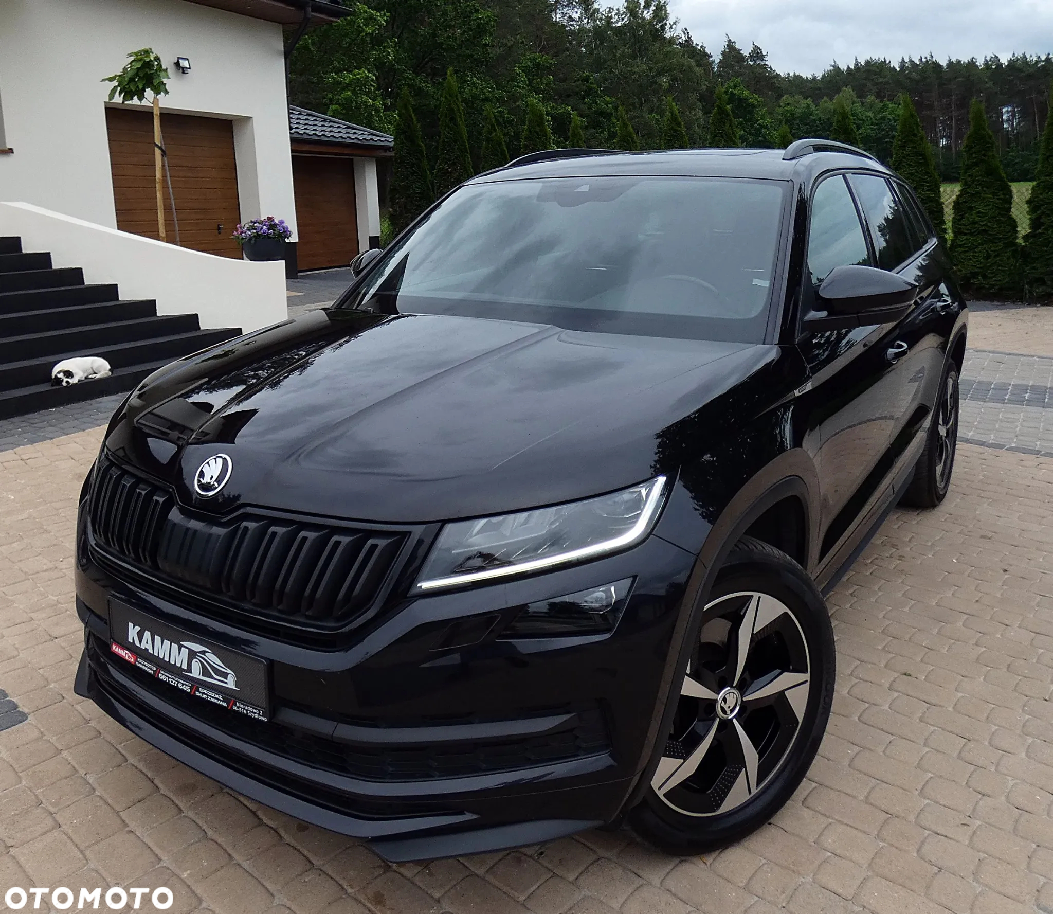Skoda Kodiaq 2.0 TDI 4x4 Sportline DSG - 37