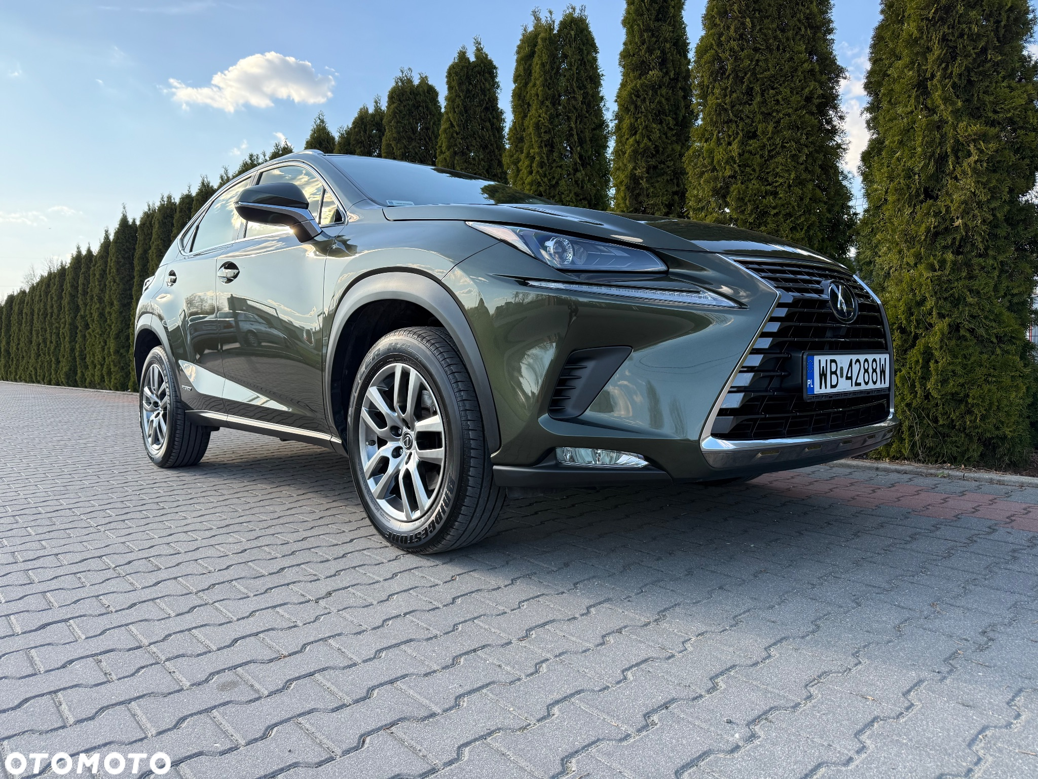 Lexus NX - 6