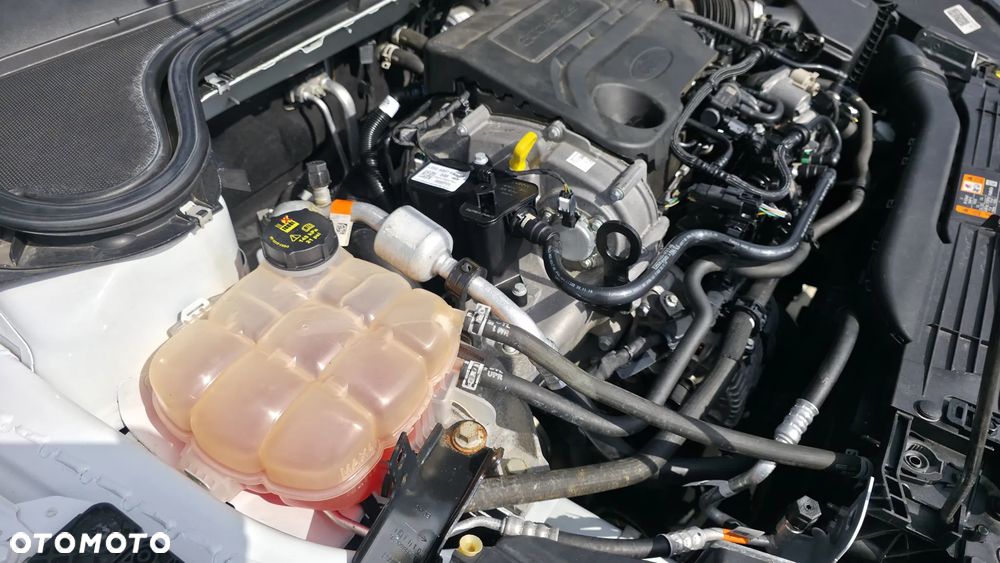 Ford Focus 1.0 EcoBoost mHEV ST-Line - 29