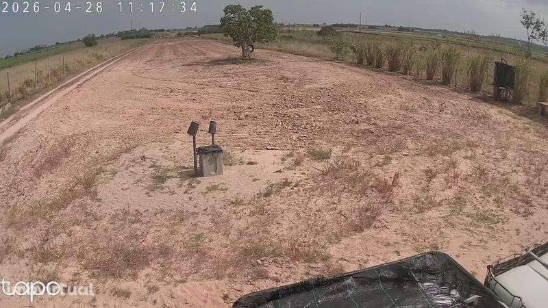 Arrenda -se  terreno  agrícola Almeirim - Grande imagem: 2/2