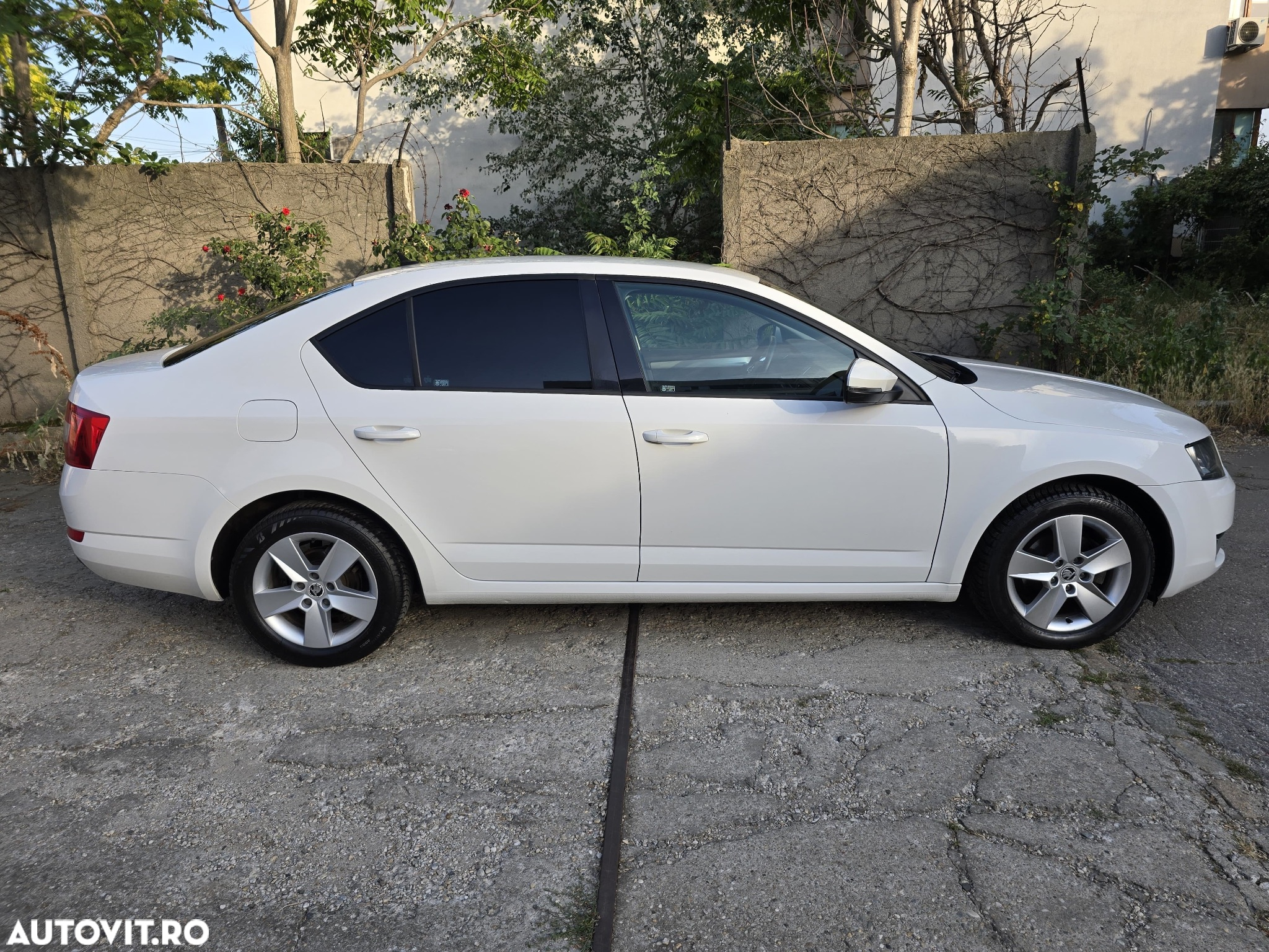 Skoda Octavia 1.6 TDI Ambition - 18