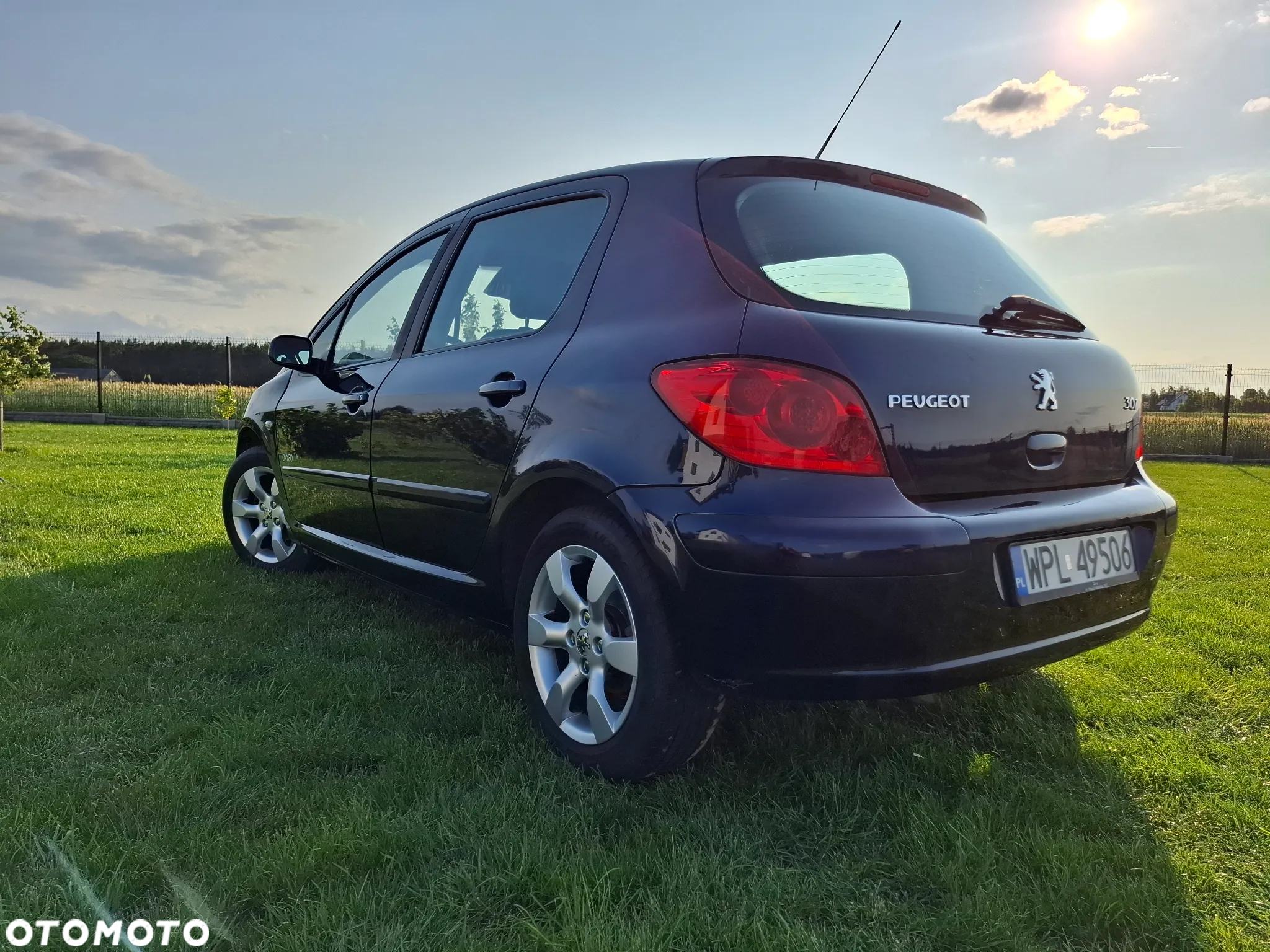 Peugeot 307 1.6 Oxygo - 7