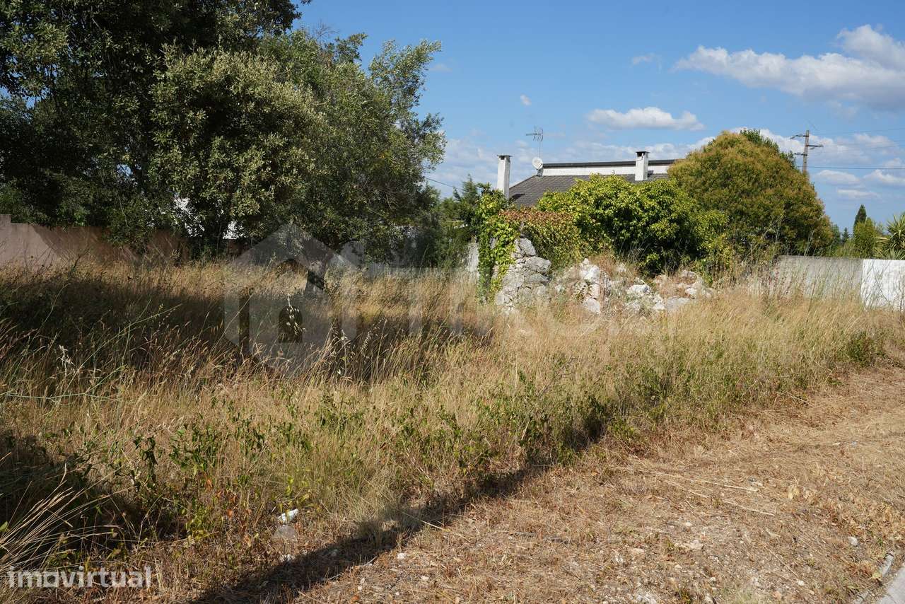 TERRENO 100% URBANO COM RUÍNA | 592,50 M² | TORRES NOVAS | 24.000 € - Grande imagem: 4/33