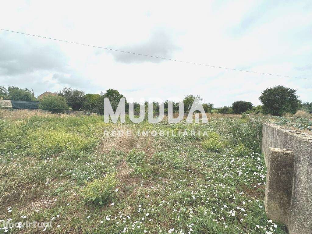 Terreno para construção, Salreu - Estarreja - Grande imagem: 4/5