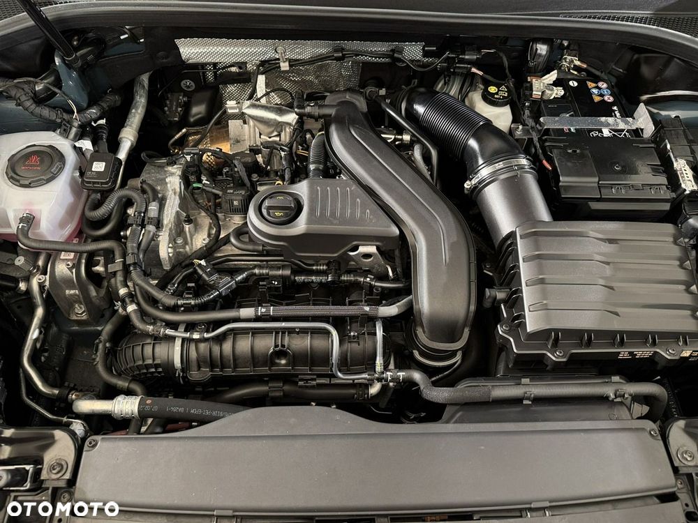 Cupra Terramar - 37