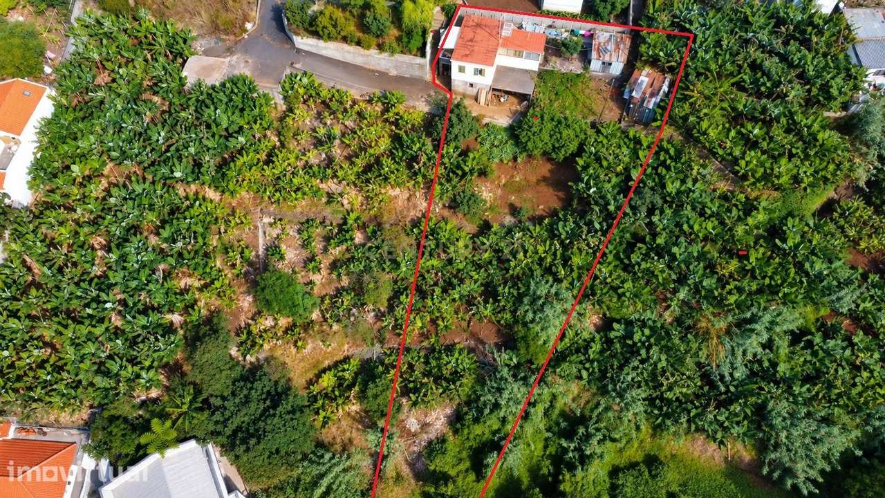 Terreno com Vista a Bahia do Funchal - Grande imagem: 3/8