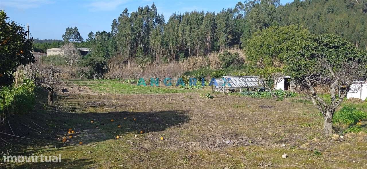 ANG1343 - Terreno para Venda em Cortes, Leiria - Grande imagem: 2/8