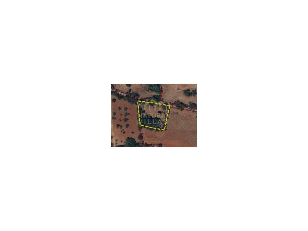 Terreno Rústico Plano em Quelfes, Olhão - Grande imagem: 5/5