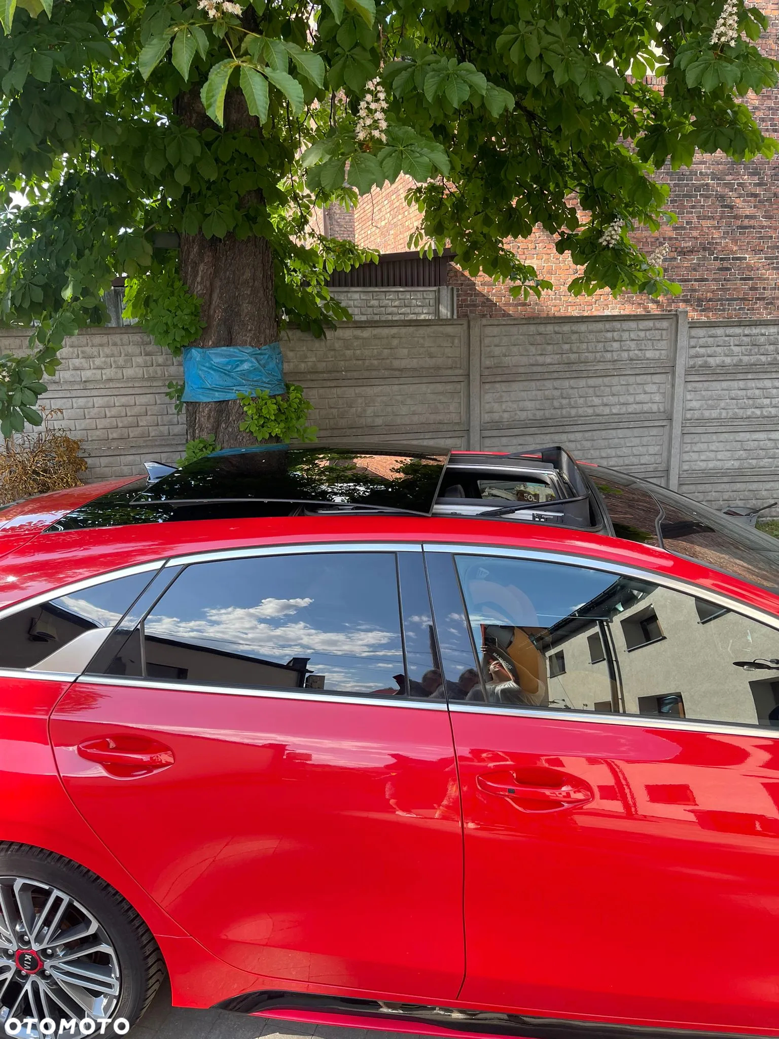 Kia ProCeed 1.6 T-GDI GT DCT - 28