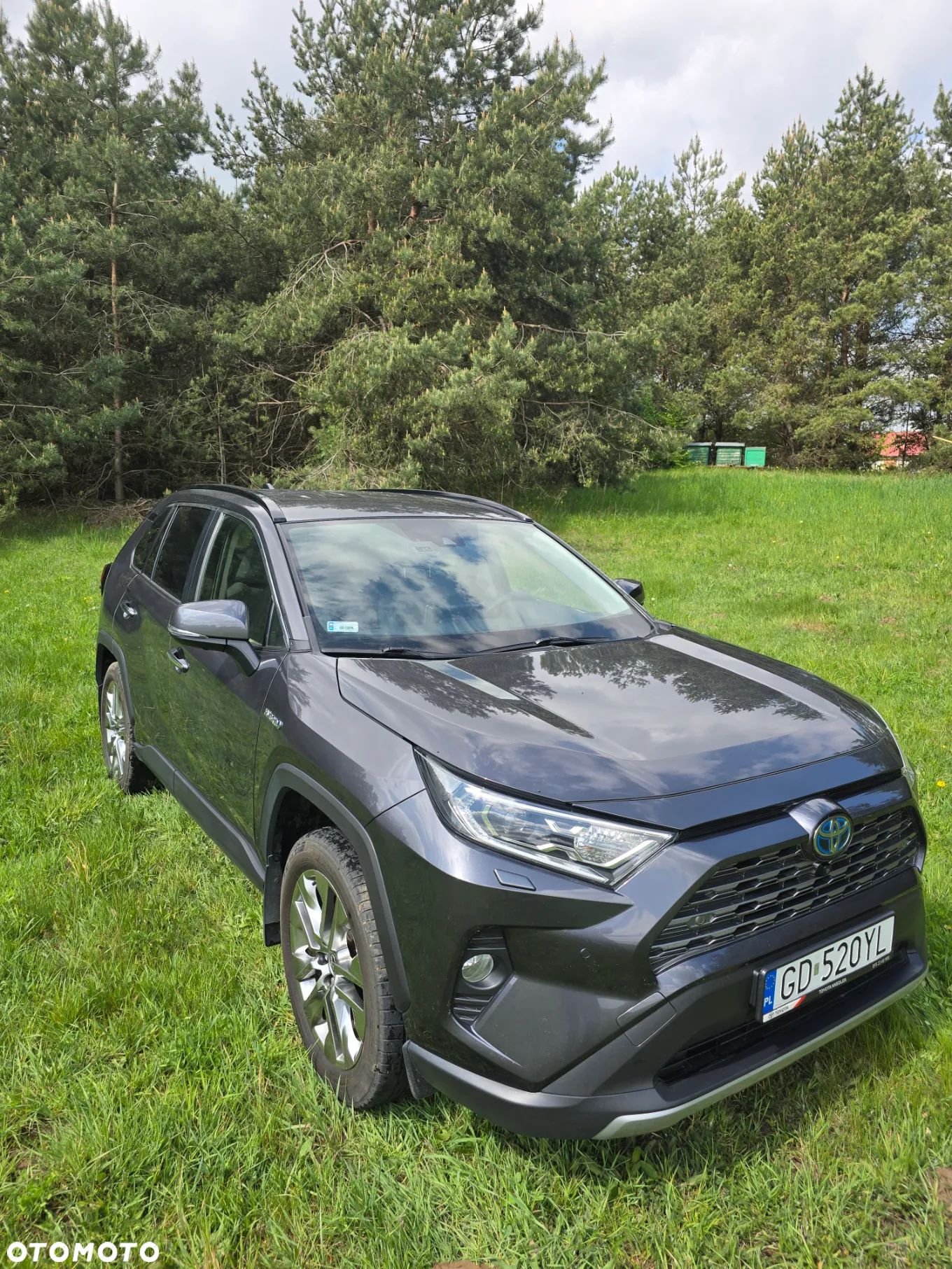 Toyota RAV4 2.5 Hybrid Executive 4x2 - 1