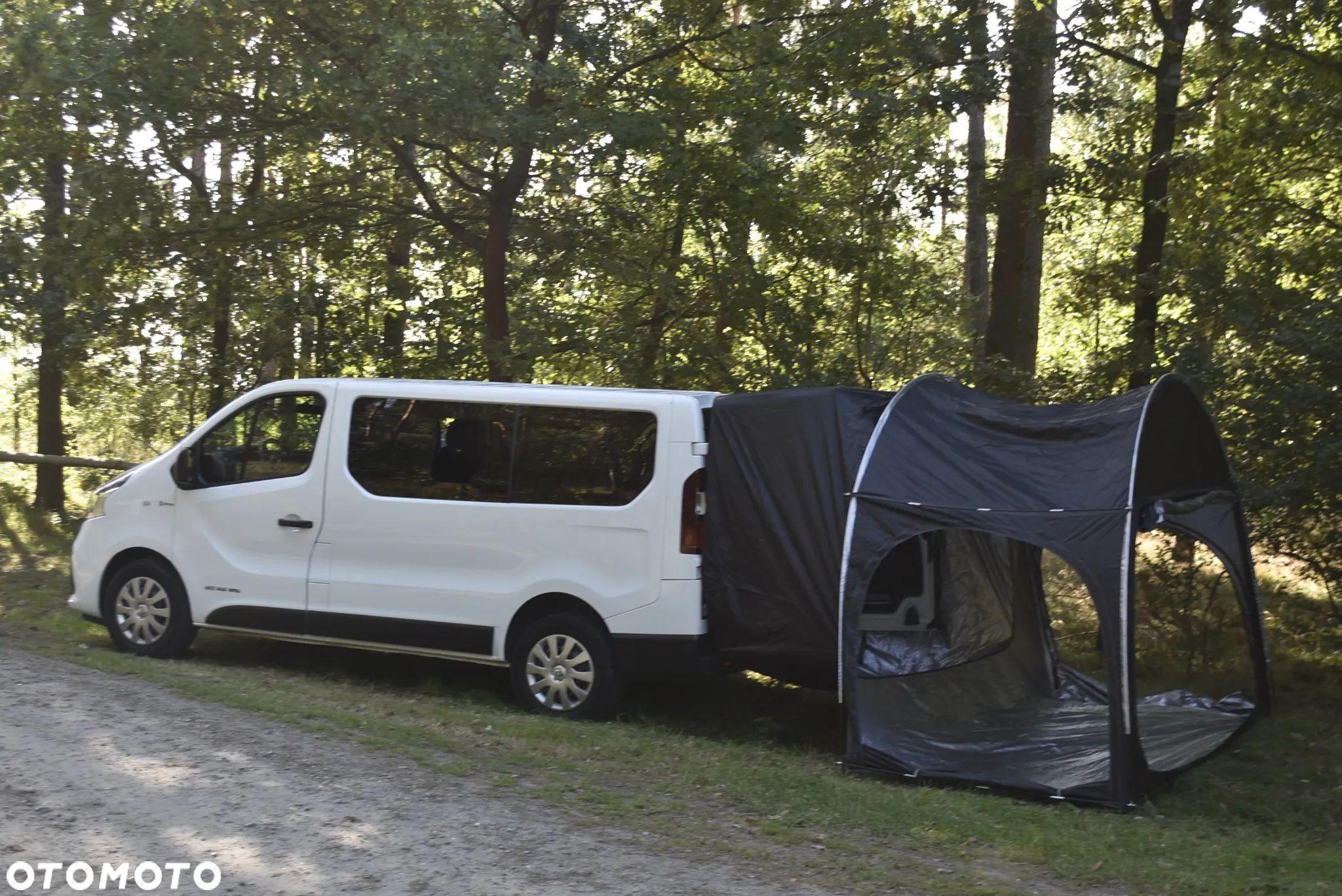Renault Trafic - 1