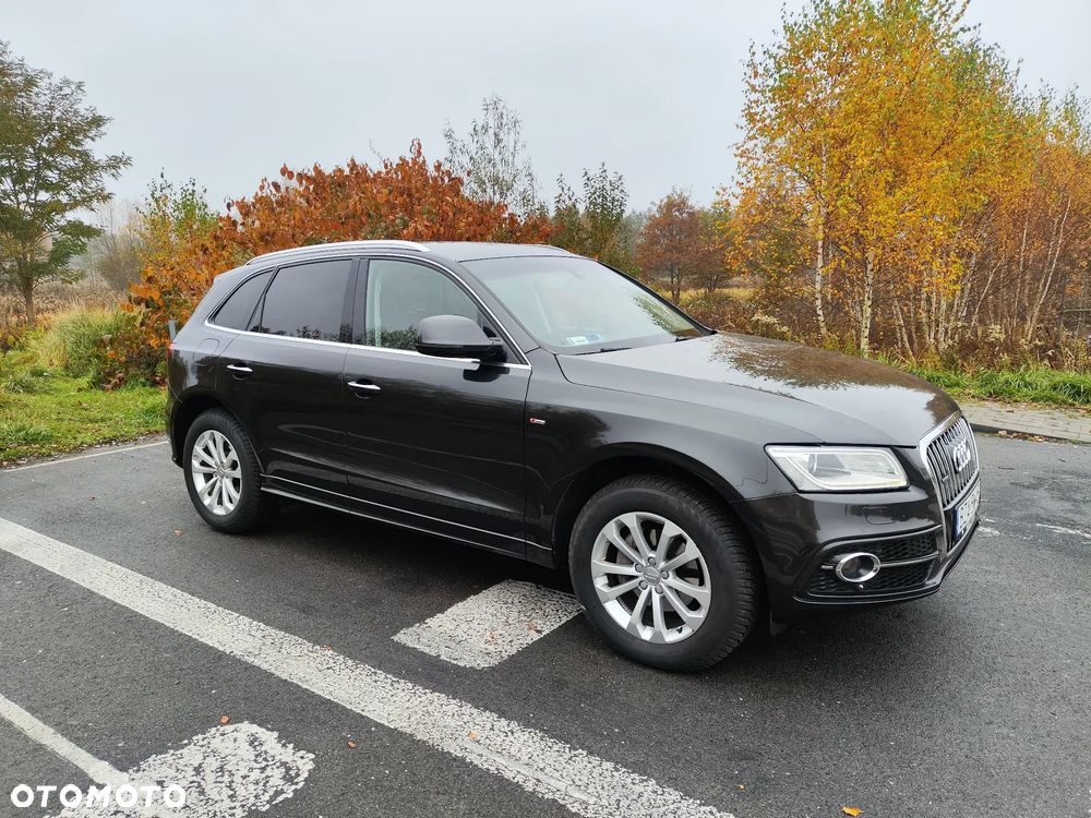Audi Q5 2016 photo 5