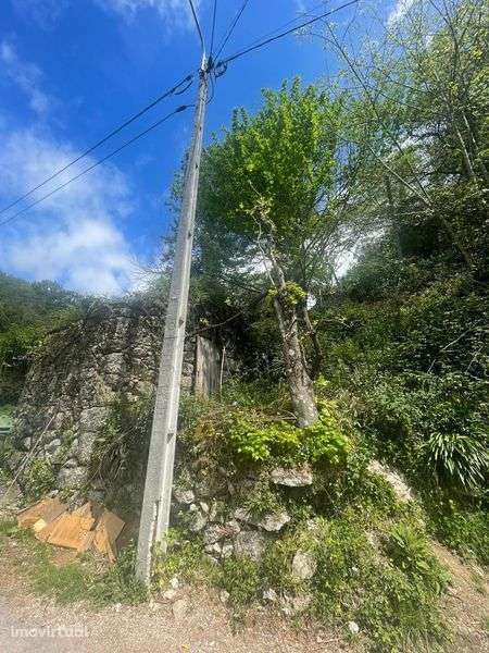 Terreno com ruína - Grande imagem: 4/8