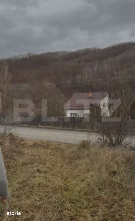 De vanzare Teren extravilan 3300mp - padure, loc. Salicea, jud. Cluj - Imagine principală: 3/5