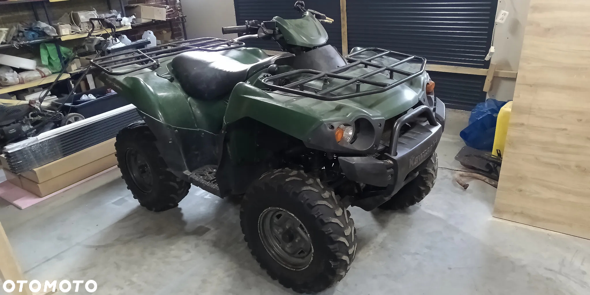 Kawasaki Brute Force