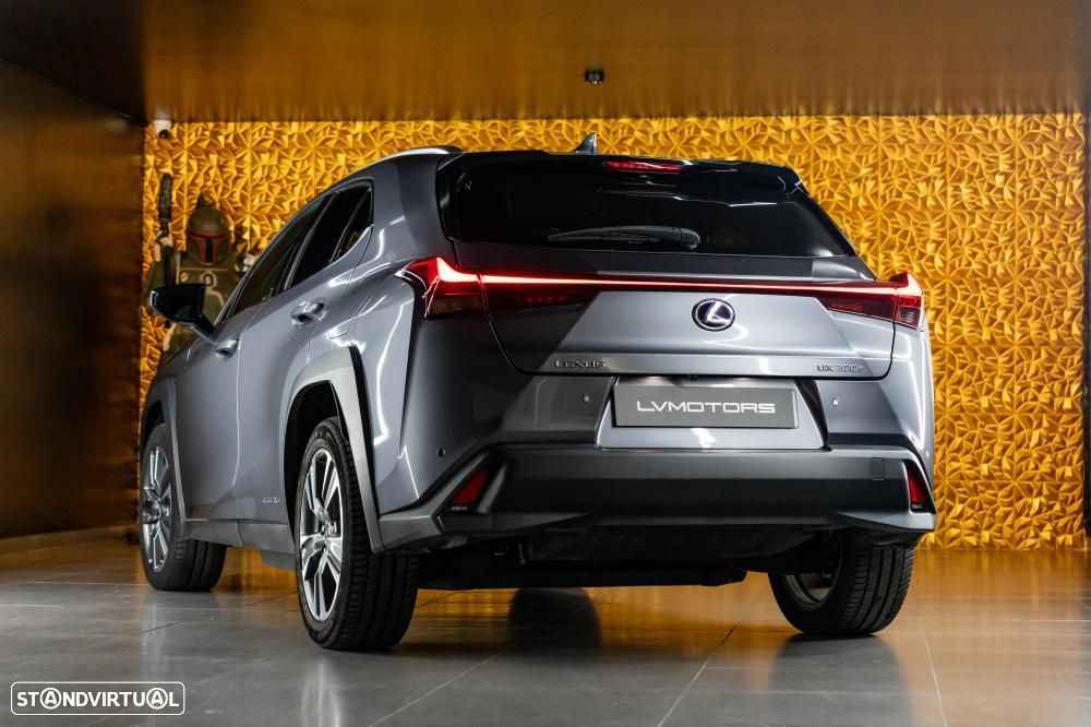 Lexus UX 300e Luxury - 15