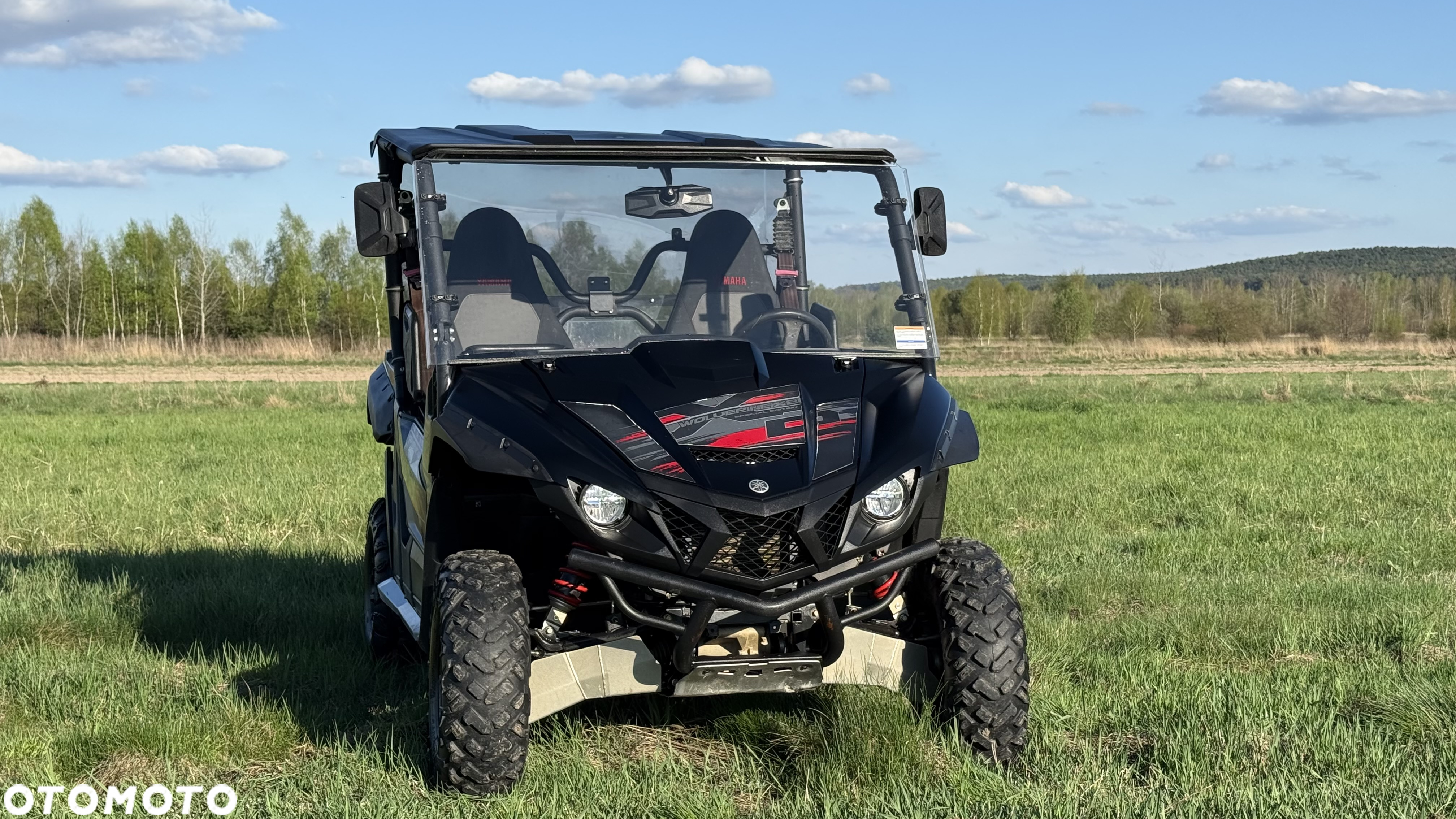 Yamaha Wolverine - 13