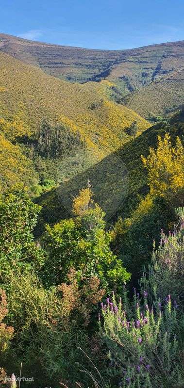 Terreno  para venda - Grande imagem: 2/11