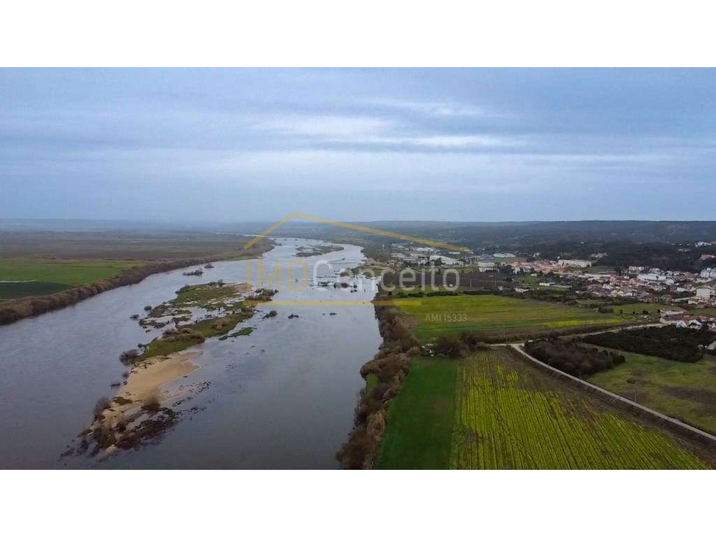 QUINTA DE 2 HÉCTARES NA CHAMUSCA| REFÚGIO COM ACESSO DIRETO AO RIO ... - Grande imagem: 2/30