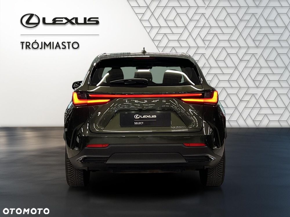 Lexus NX 350h Business AWD - 5