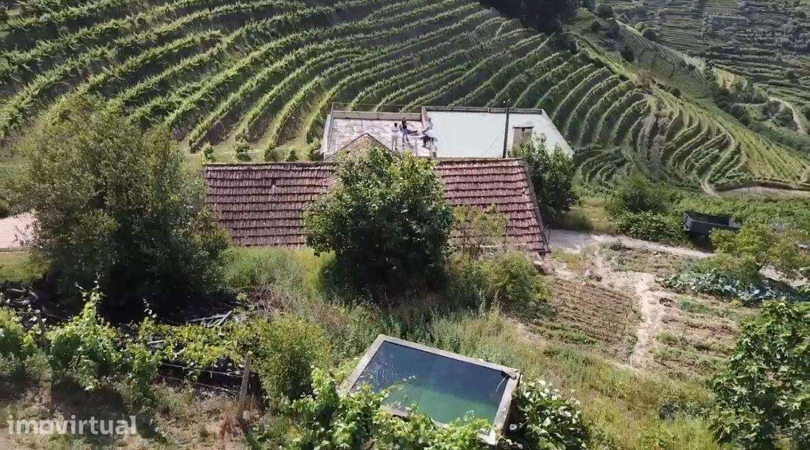 Quinta de Charme no Coração do Douro – Uma Oportunidade Única - Grande imagem: 2/36
