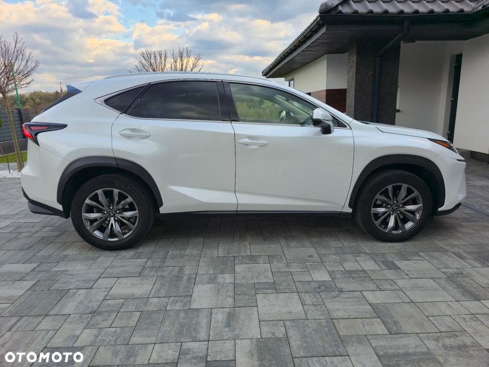 Lexus NX 300 GPF Comfort AWD - 4