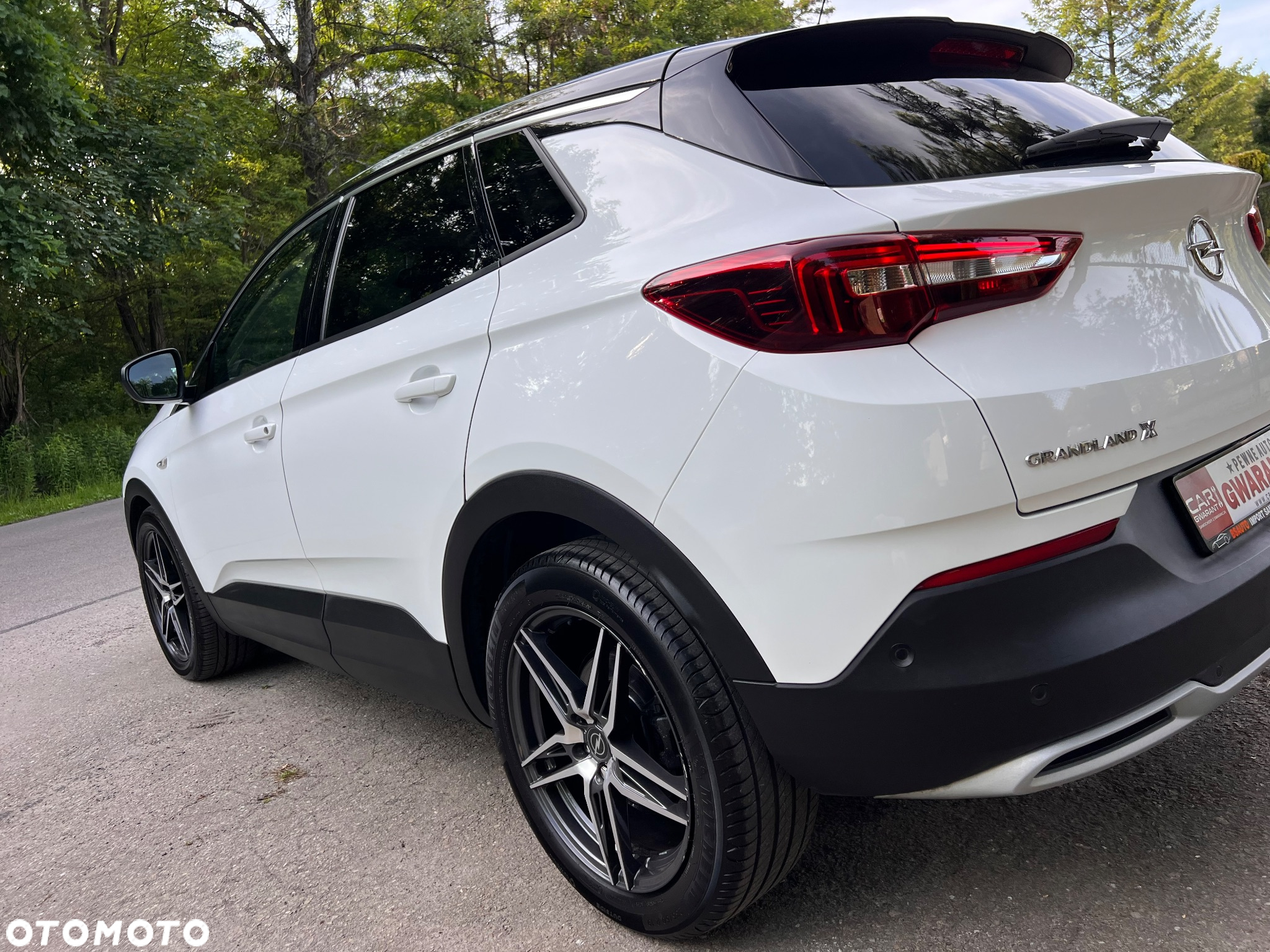 Opel Grandland X 2.0 CDTI Innovation S&S - 18