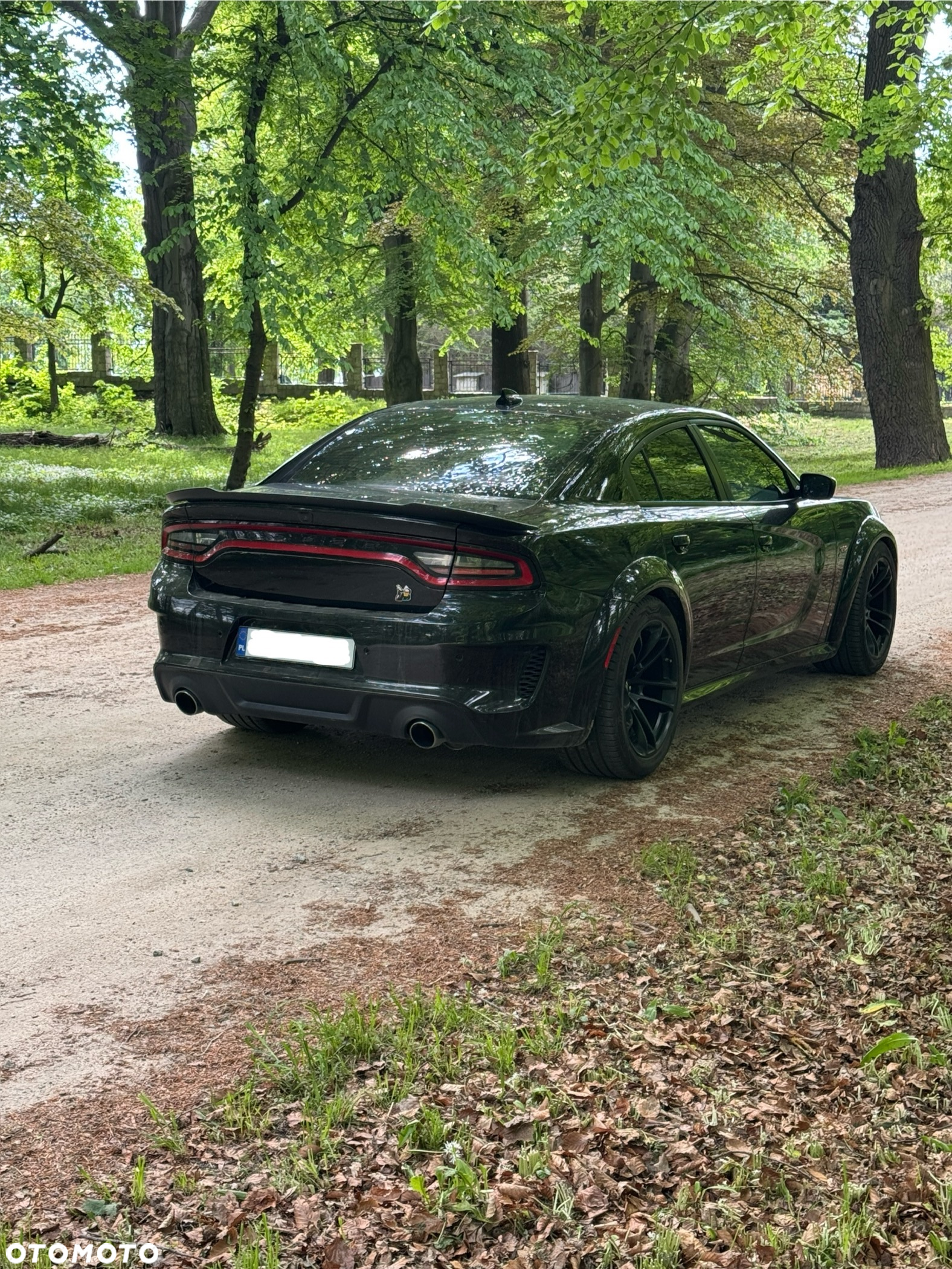 Dodge Charger 6.4 Scat Pack Widebody - 12