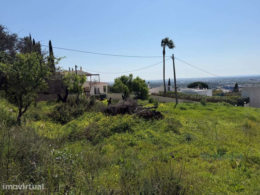 Terreno com Projeto Aprovado e Vista Mar - Grande imagem: 5/10