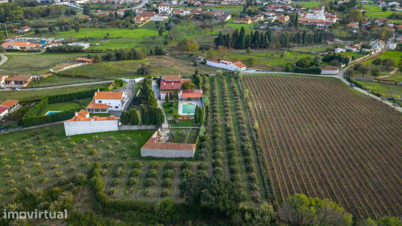 TERRENO– SANGALHOS, ANADIA - Grande imagem: 5/10