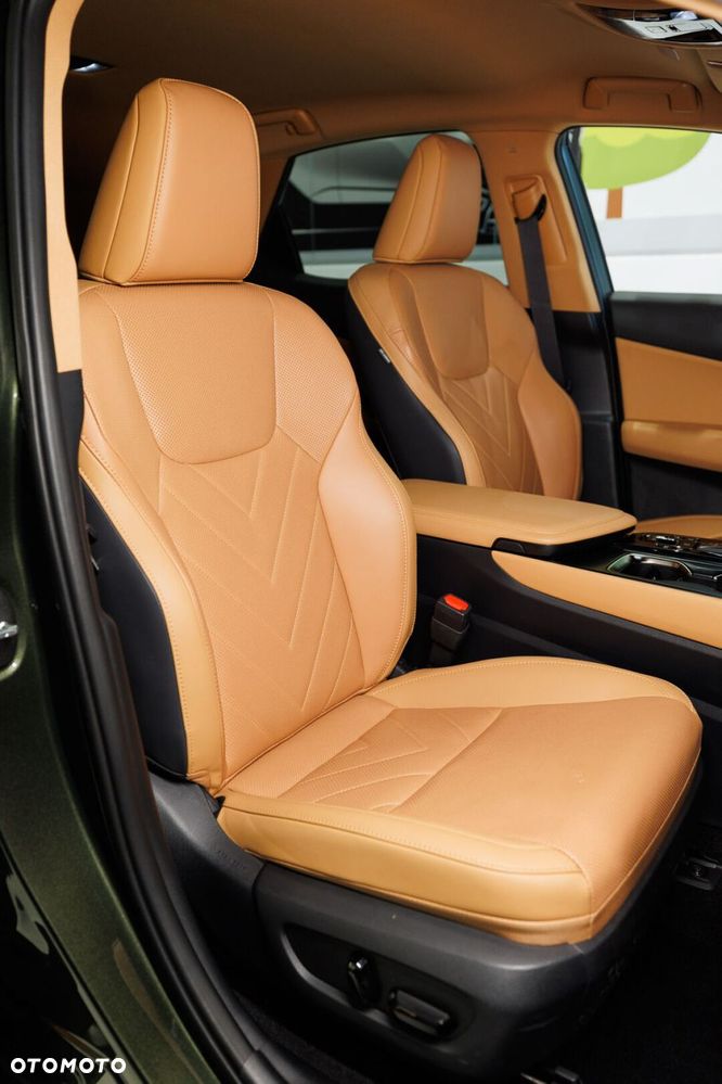 Lexus NX - 20
