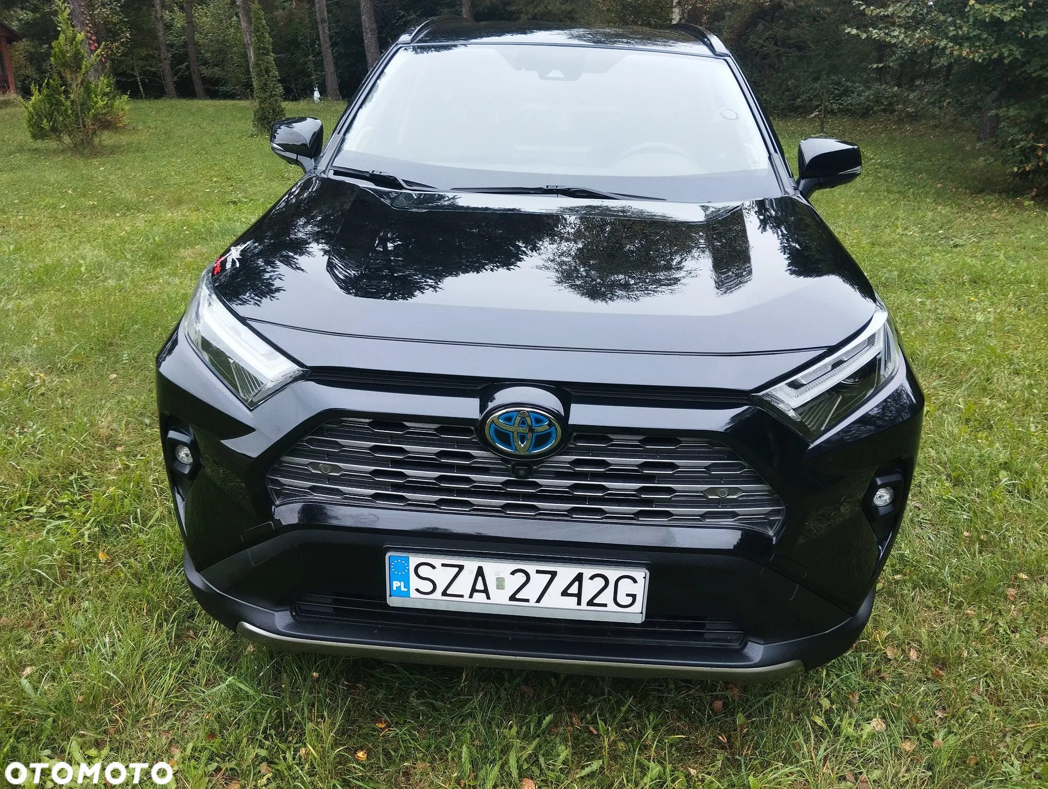 Toyota RAV4 - 17