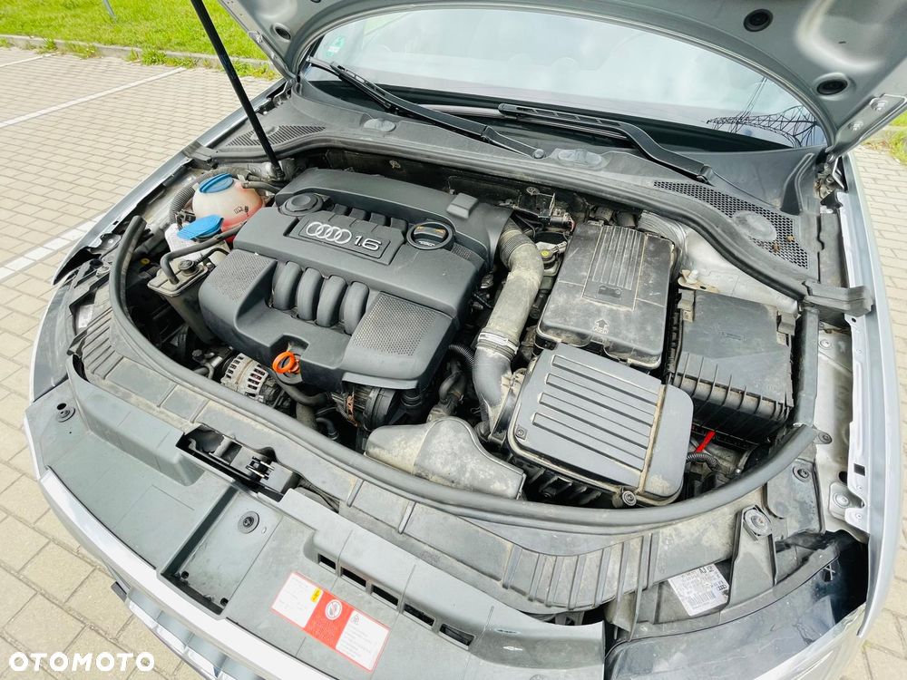 Audi A3 Cabrio 1.6 Ambition - 25
