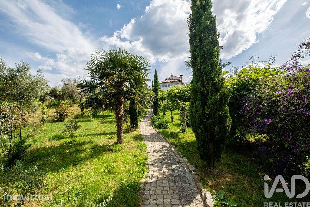 Casa / Villa T4 em Pombeiro da Beira de 110 m2 - Grande imagem: 3/33